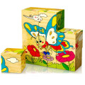 new arrival preschool educational 9pcs cube block wooden advertising puzzle